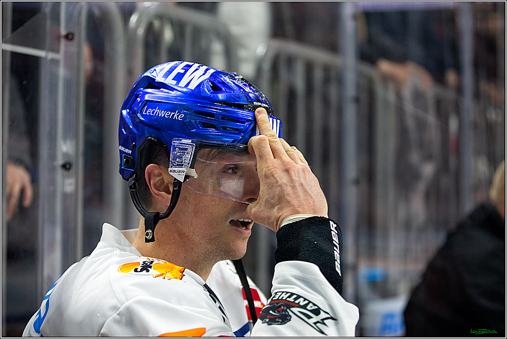 PENNY DEL; Koelner Haie- Augsburger Panther; Koeln, 20.12.2022